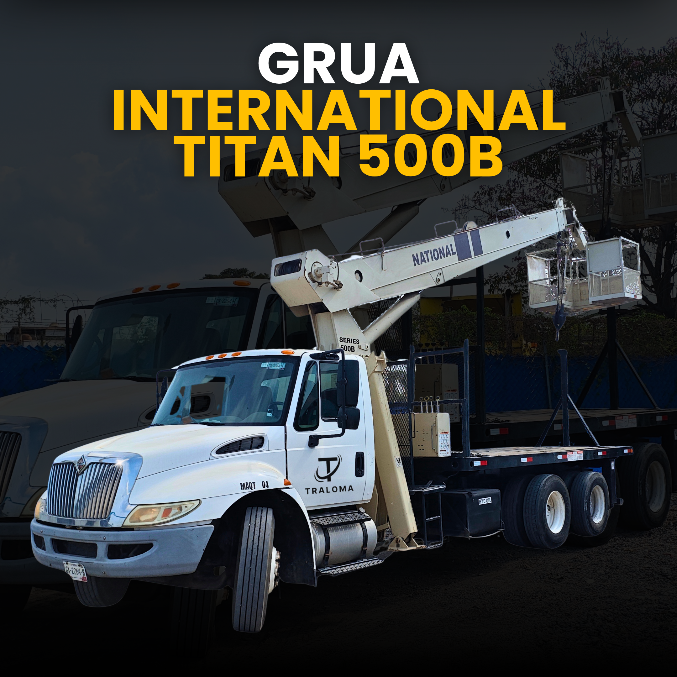 GRUA TITAN INTERNATIONAL 500B
